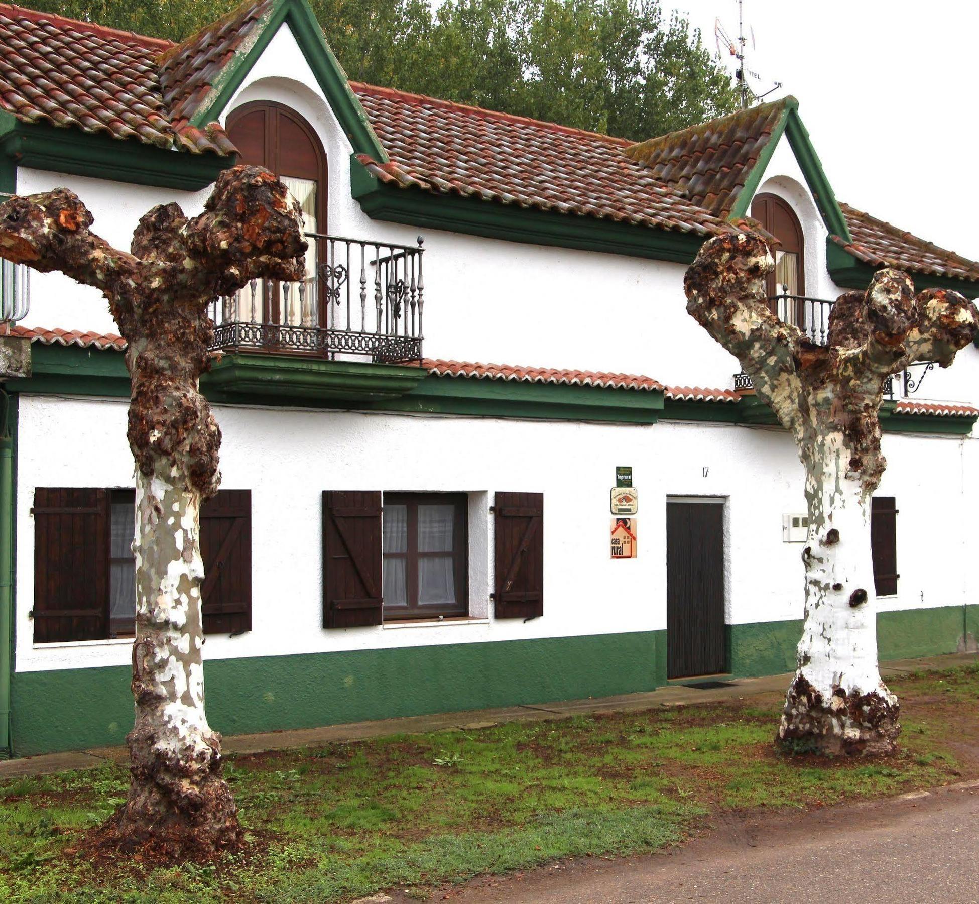 Apartamentos El Capricho Агеда Экстерьер фото